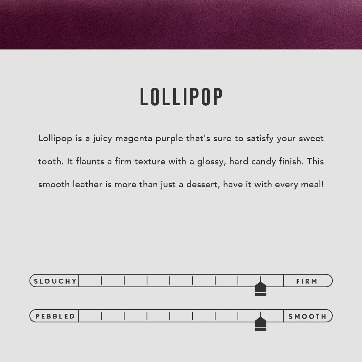 Large Lola Zipper Crossbody Tote